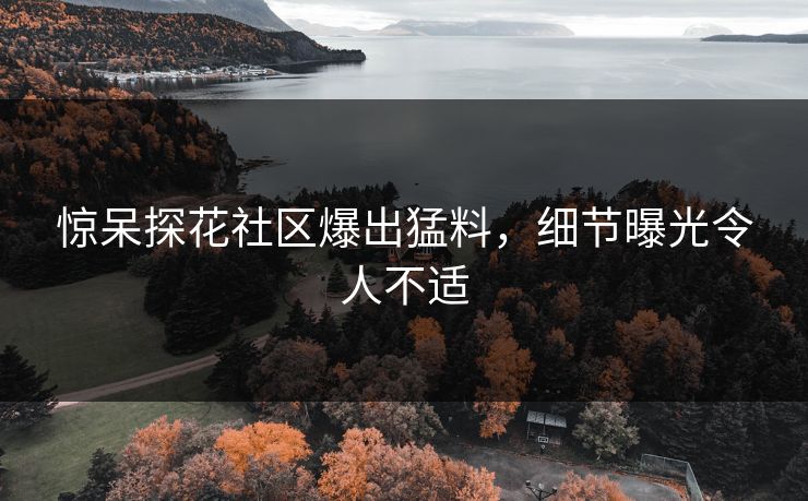 惊呆探花社区爆出猛料，细节曝光令人不适