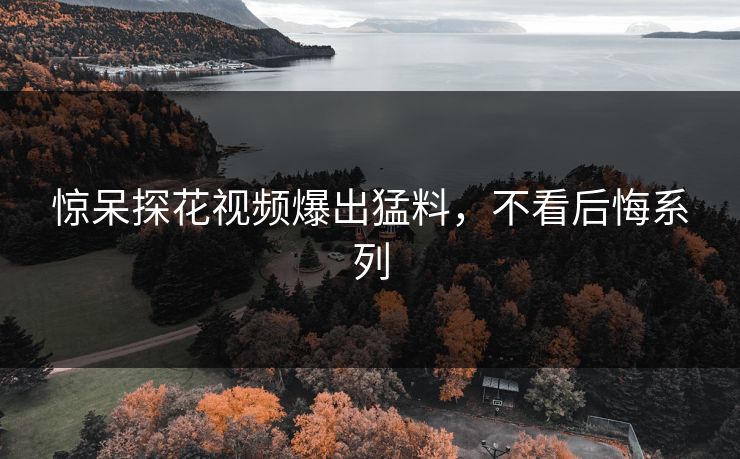 惊呆探花视频爆出猛料，不看后悔系列