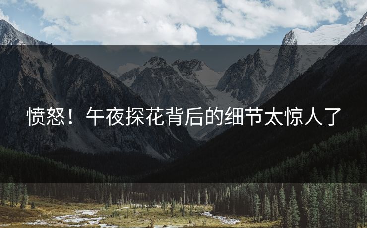 愤怒！午夜探花背后的细节太惊人了