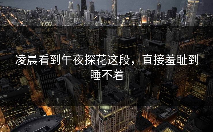凌晨看到午夜探花这段，直接羞耻到睡不着