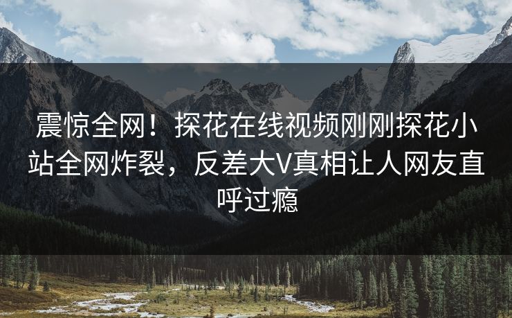 震惊全网！探花在线视频刚刚探花小站全网炸裂，反差大V真相让人网友直呼过瘾