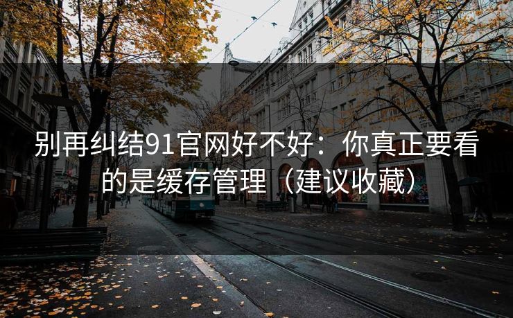 别再纠结91官网好不好：你真正要看的是缓存管理（建议收藏）